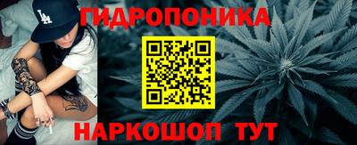 прущие грибы Бузулук
