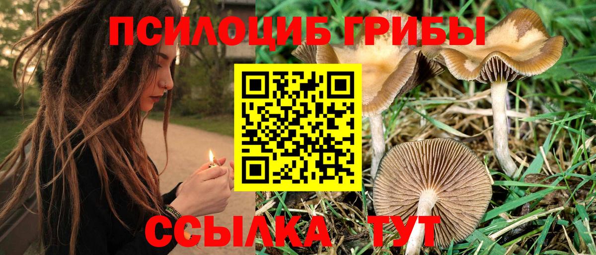 Псилоцибиновые грибы мухоморы Крымск